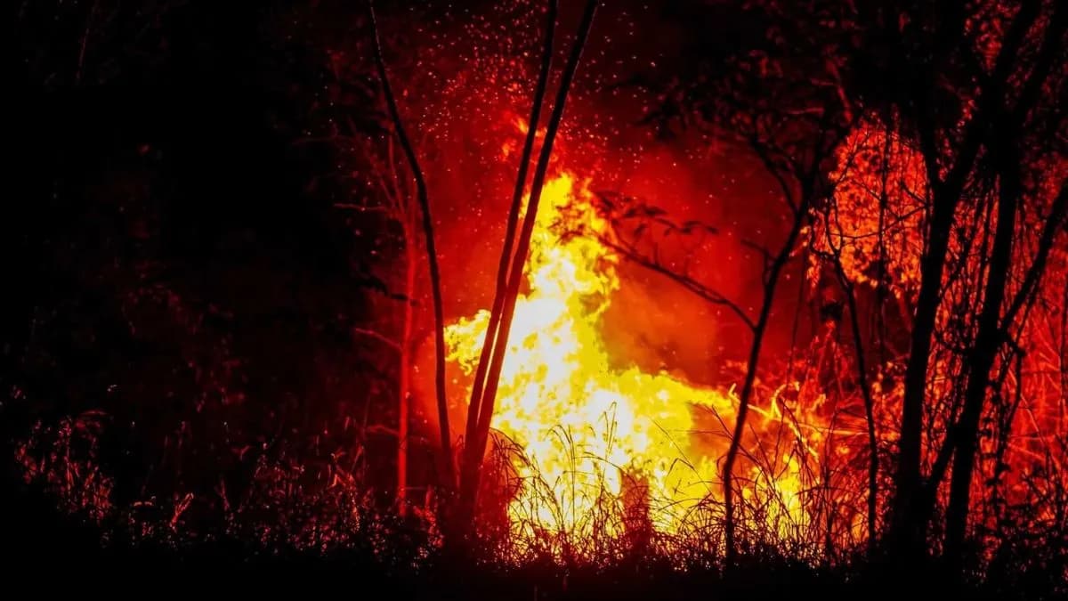 Apagan incendio en Tolima que amenazaba suministro de agua