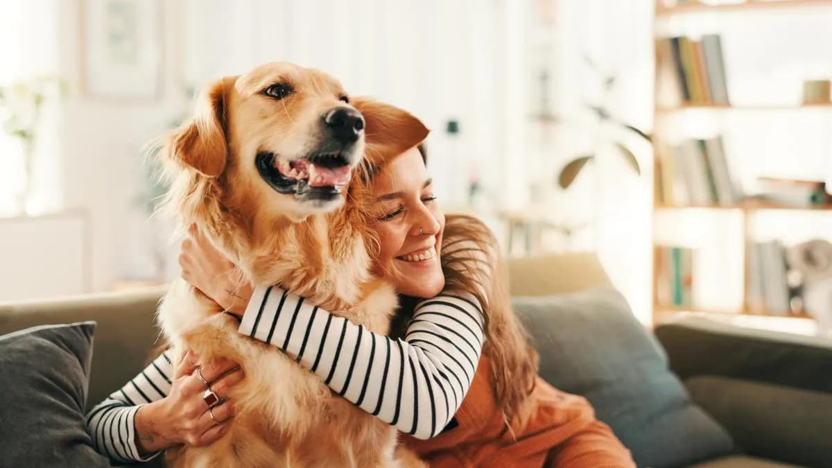 Los perros pueden detectar emociones humanas, confirma un estudio