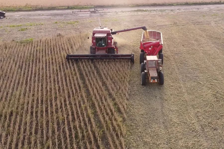 Entre Ríos alcanza récord histórico en producción agrícola