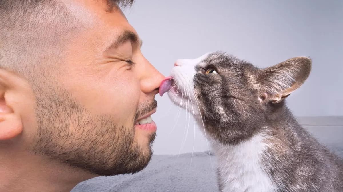 Gatos y su influencia en la salud mental de personas con autismo o TDAH