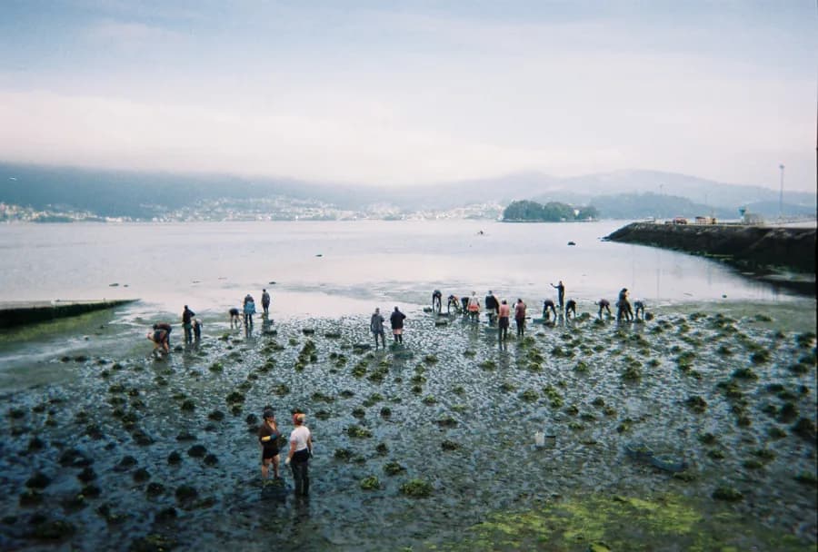 Mariscando conCiencias: Una Iniciativa por el Futuro del Marisqueo