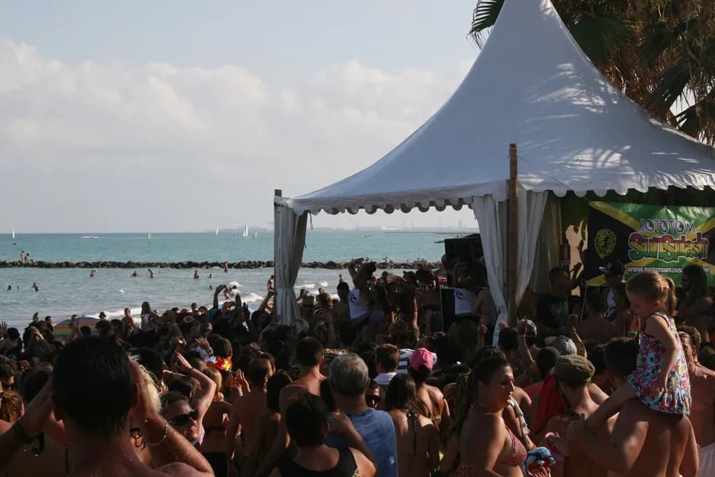 Tuawa y Rototom evitan 300 toneladas de CO2 con 13,500 árboles