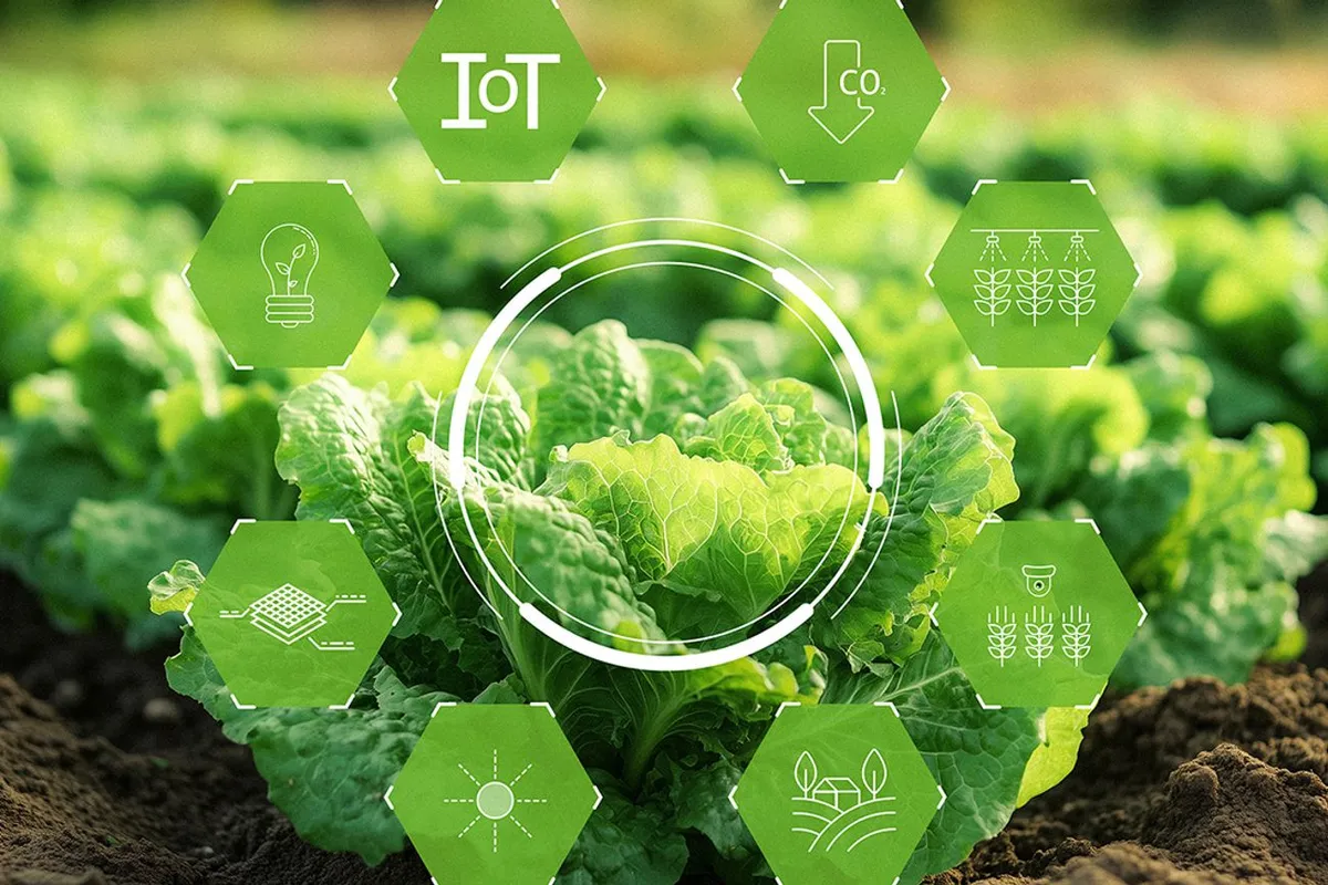 Transformación digital en el agro argentino: conectividad y sostenibilidad