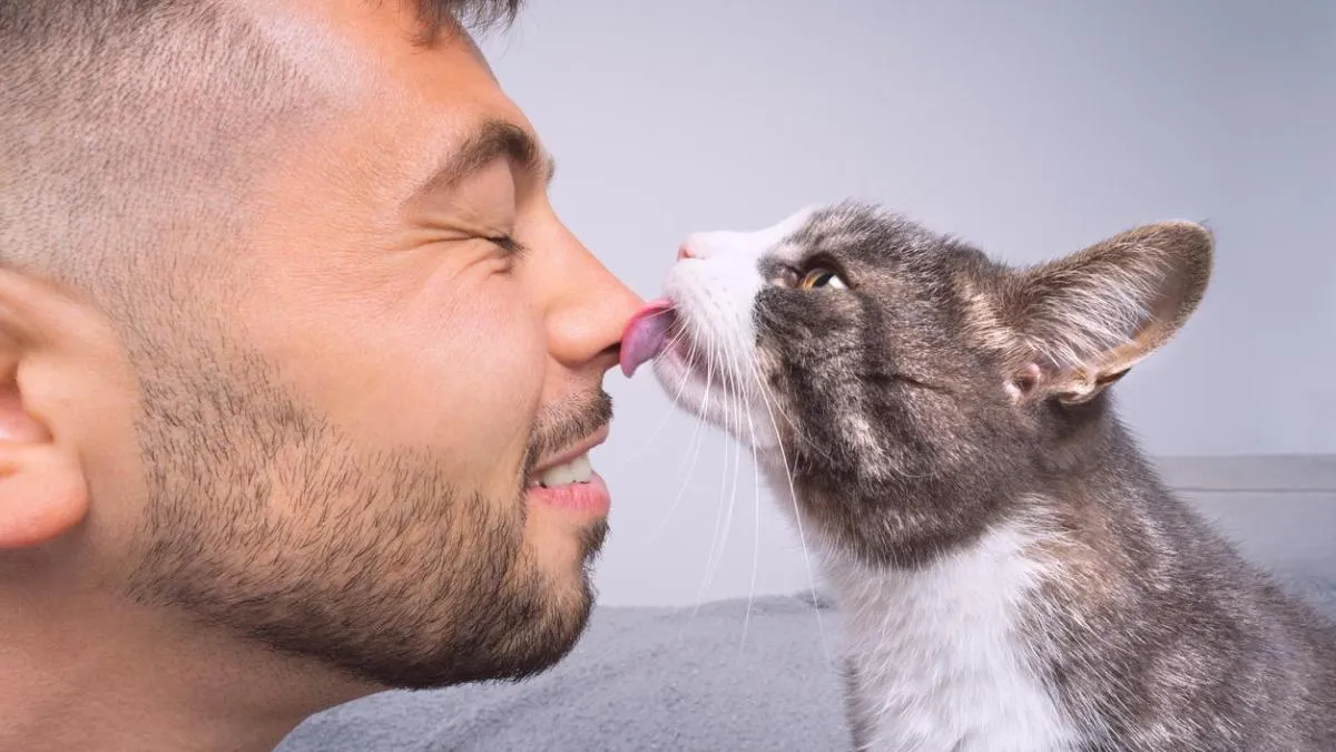 Gatos y su influencia en la salud mental de personas con autismo o TDAH