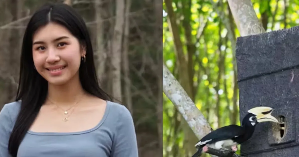 Joven tailandesa crea nidos con botellas recicladas para cálaos